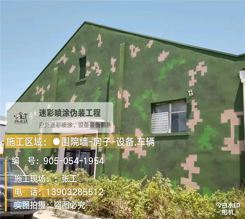 阿里外墙数码迷彩漆施工报价清单(100㎡标准墙面测算)